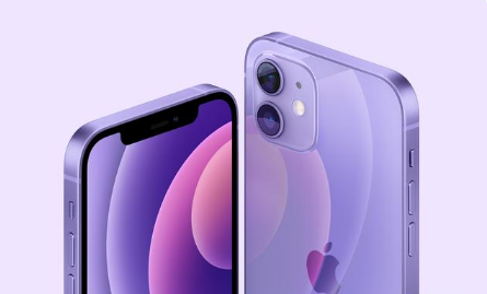 秦安苹果手机维修分享紫色版iPhone 12有什么技术亮点 