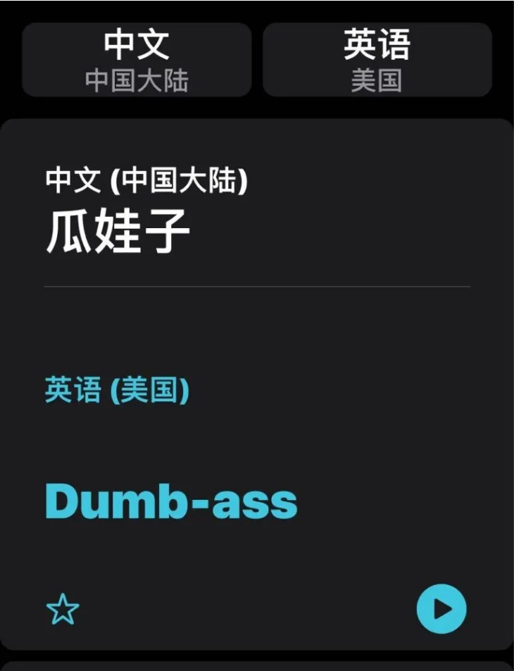 秦安苹果手机维修分享iOS14的“翻译太懂了”怎么用 